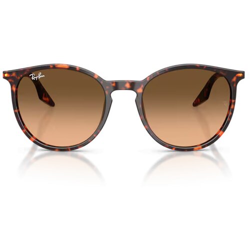 Ray-ban Naočare za sunce RB 2204 14293B Cene