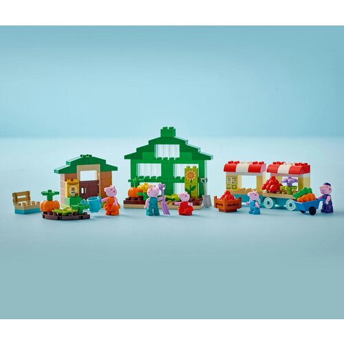 Lego 10461 Ba&amp;scaron;ta i staklenik Deke Praseta Slike