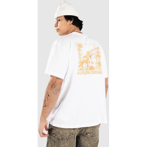 Dickies Companion T-shirt white Cene