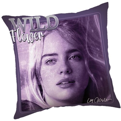 Jerry Fabrics Dječji jastuk 40x40 cm Billie Eilish &amp;ndash; Slike