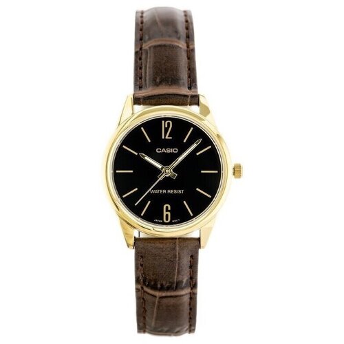 Casio Analogne ure LTPV005GL1BUDF pisana Cene