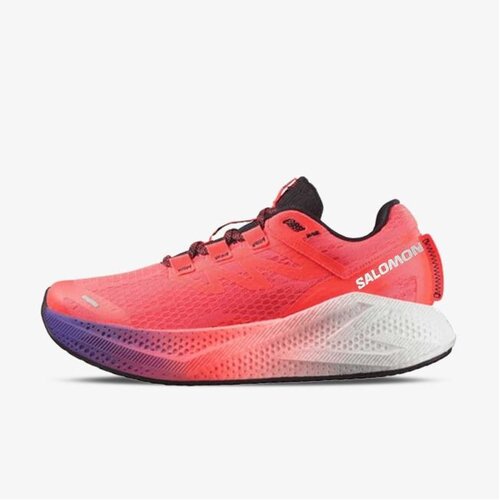 Salomon Aero glide 3 gradient Cene