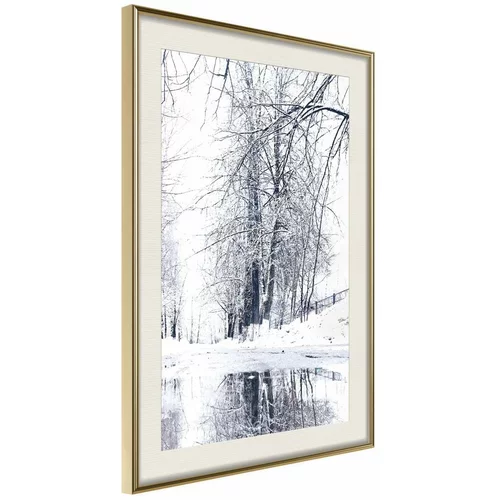  Poster - Snowy Park 30x45