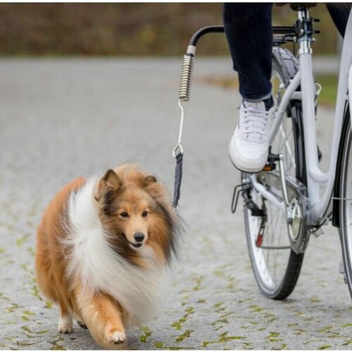 Trixie DOG BIKE SET DE LUXE S-M Povodac za bicikle, crna, veličina Slike