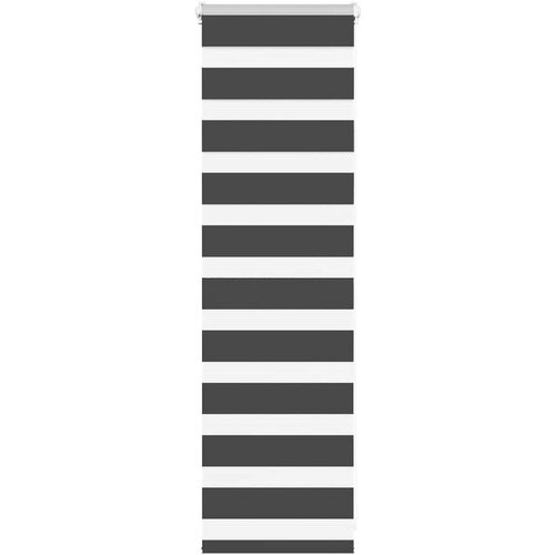 vidaXL Zebra senčilo črna 45x100 cm tkanina širina 40,9 cm poliester Cene