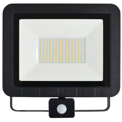 Asalite LED reflektor 100W 4500K, 8000Lm Cene