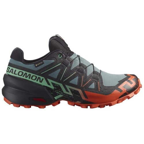 Salomon speedcross 6 gtx 477013 Cijene