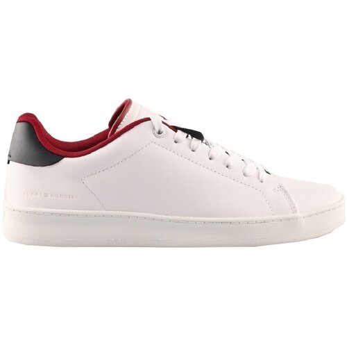 Tommy Hilfiger Nizke superge fm0fm04483-0gy Večbarvna Slike