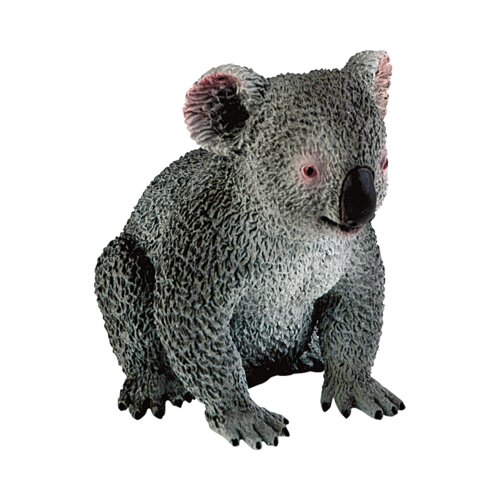  Safari - Koala Slike