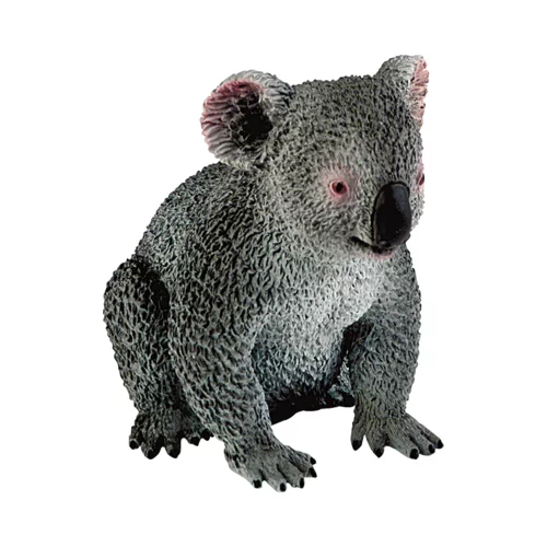  Safari - Koala