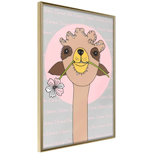  Poster - Cute Llama 20x30