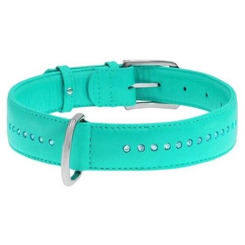 CLR WD Plava A2202579-Ogrlica za pse 27–36 cm Cene