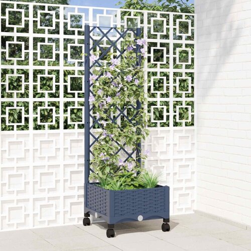  Vrtni saksija s re&scaron;etkom i kotačima Plavo Sivo PP - Plavo-siva 40 x 40 x 121 5 cm s kotačima Cijene