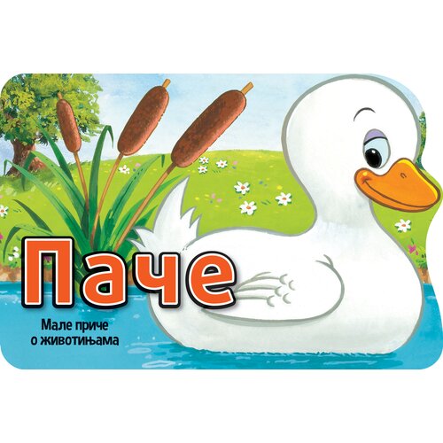  Male priče o životinjama: Pače Slike