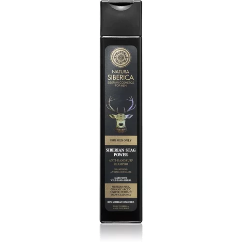 Natura Siberica For Men Only šampon proti prhljaju 250 ml