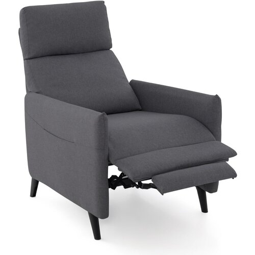 Namještaj Fotelja s funkcijom naginjanja i podesivim naslonom i osloncem za noge te 2 džepa za časopise, tamno siva Cijene