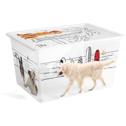 Kis Bela plastična škatla za shranjevanje s pokrovom 55x39x31 cm C Box Style – Cene