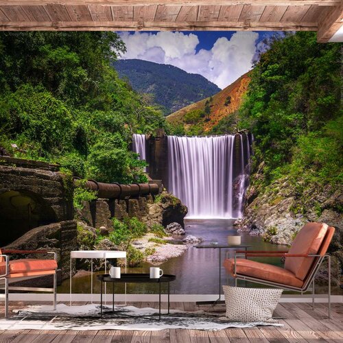  Samoljepljiva foto tapeta - Reggae Falls 98x70 Slike