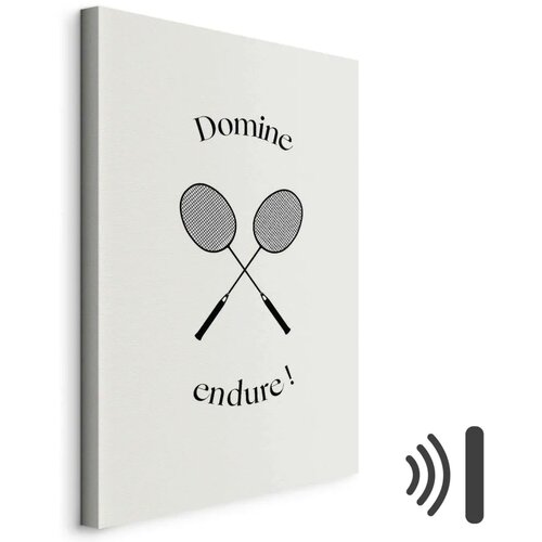  Slika - Black Badminton Rackets 40x60 Akustična Cene