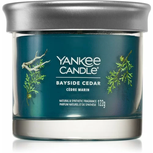 Yankee Candle Bayside Cedar dišeča sveča I. 122 g