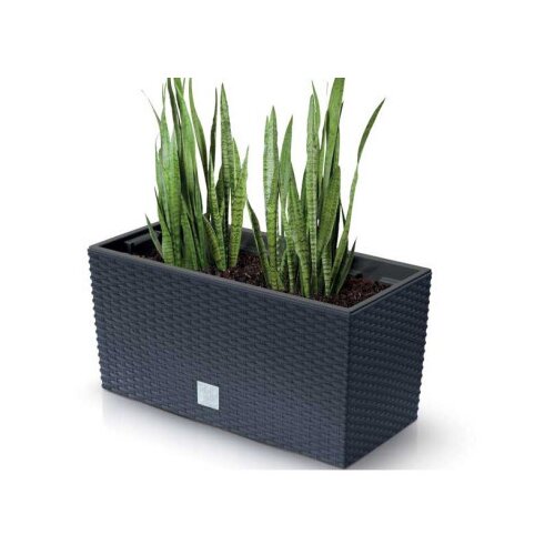  Rato case c600 saksija ( 5052 ) Cene