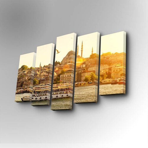 Wallity 5PUC-028 multicolor decorative canvas painting (5 pieces) Cene