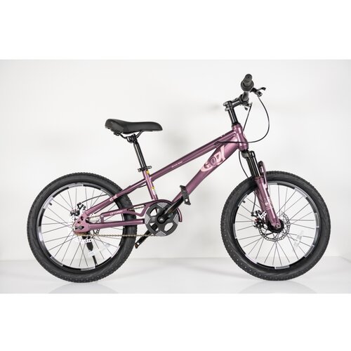 Winner Bike Dečiji bicikl 20&rdquo; PURPLE Cene