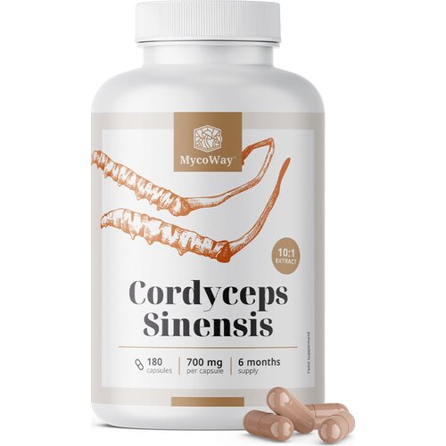  Cordyceps Sinensis 1400 mg - 180 kaps. Cene
