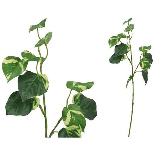  DEKORATIVNI LIST 71CM PVC Cene