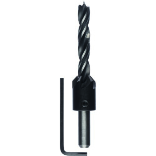 Bosch Spiralna burgija za drvo sa upu&scaron;tačem 2608596396, 10 mm Cene