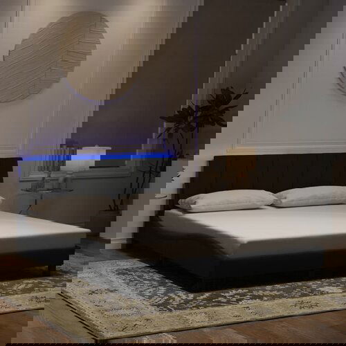 vidaXL Okvir kreveta s LED svjetlima crni 160 x 200 cm baršunasti Cijene