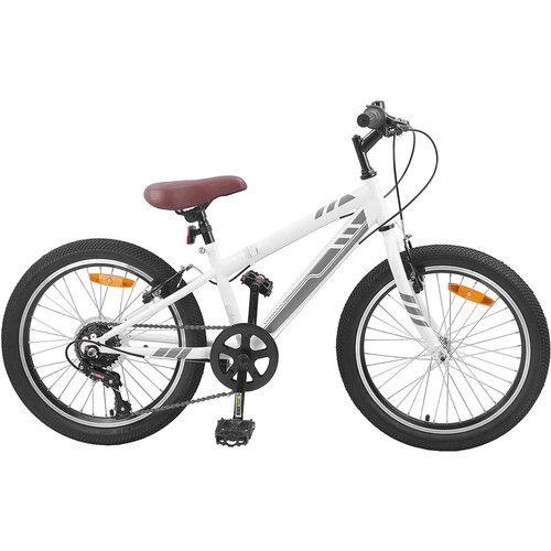  Planinski Bicikl 20 Inča 6-Speed za 5-8 godina Bijelo Cijene