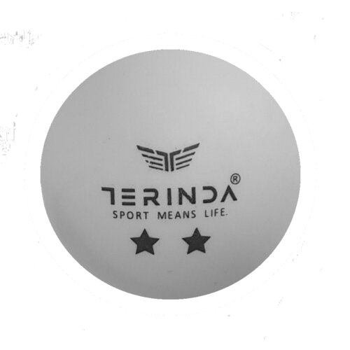 Terinda pin pong two star 6/1 loptica za stoni tenis bela 1709 Slike