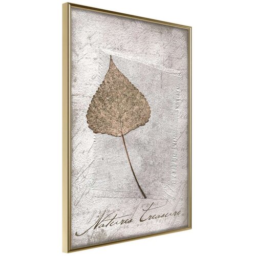  Poster - Dried Leaf 40x60 Cijene