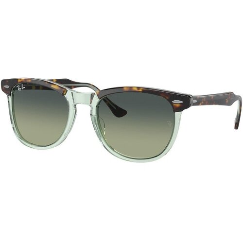 Ray-ban Eagleeye Naočare za sunce RB 2398 1376BH Slike