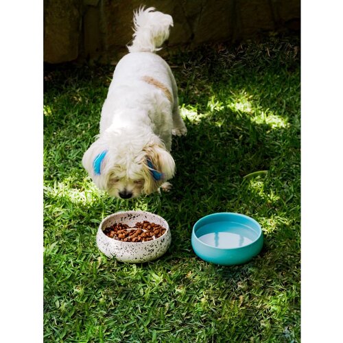 WALLXPERT BSPT030 multicolor pet food bowl Cene