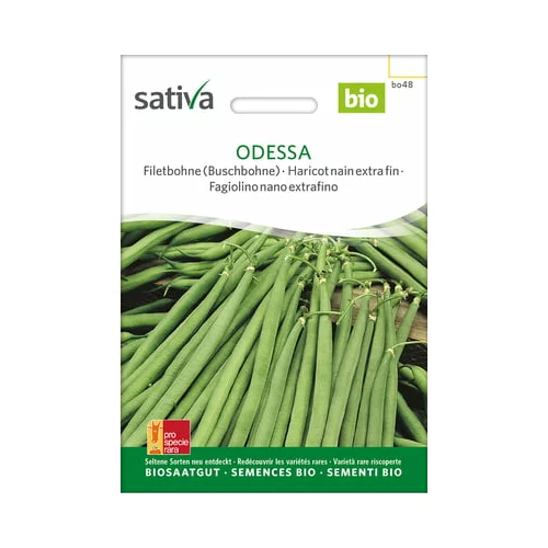 Sativa Bio grmičast fižol “Odesa”