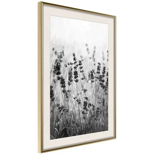  Poster - Shadow of Meadow 30x45