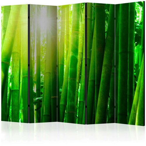  Paravan u 5 dijelova - Sun and bamboo II [Room Dividers] 225x172 Slike