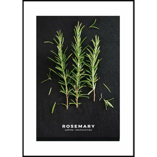 Styler Plakat v okvirju 50x70 cm Rosemary - Styler