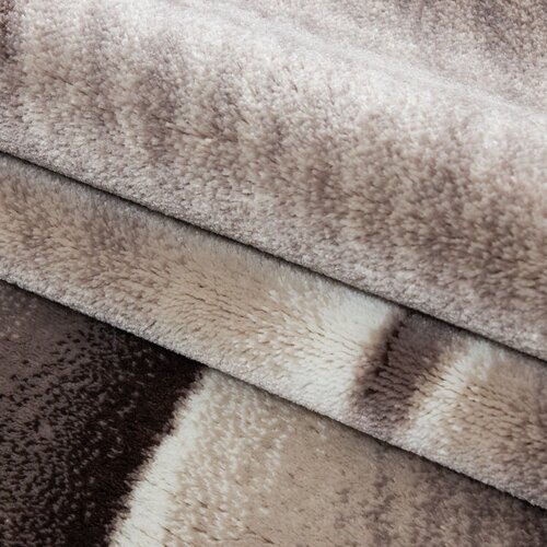 Ayyildiz Carpets Rjava preproga 160x230 cm Parma &amp;ndash; Slike