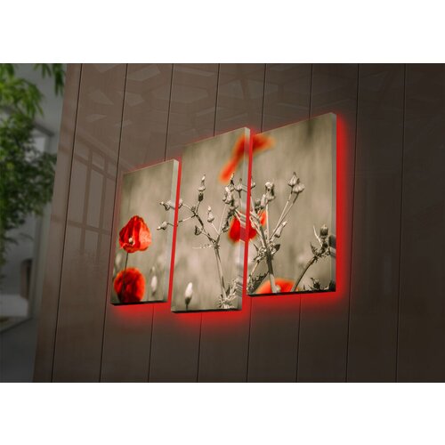 Wallity Set slika sa LED osvetljenjem 3PATDACT-4, 3 Dela Cene