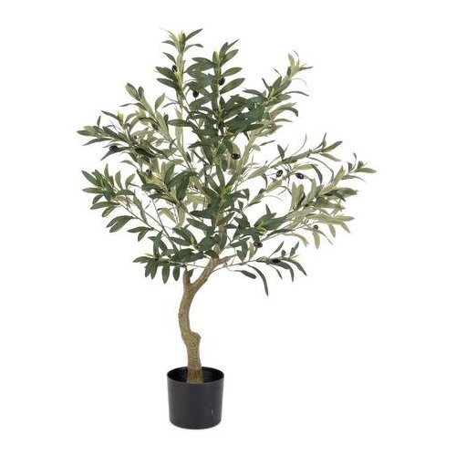 Maslina 90CM PVC BIZZOTTO Slike