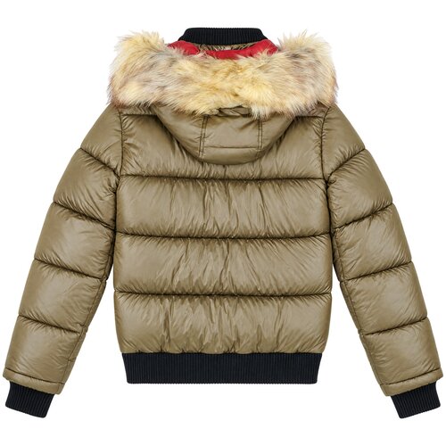 Geographical Norway Puhovke BUGS Kaki Slike
