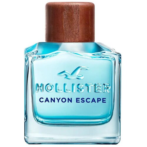 Hollister Toaletna voda Canyon Escape Eau de Toilette f&amp;uuml;r Ihn 100 ml Slike