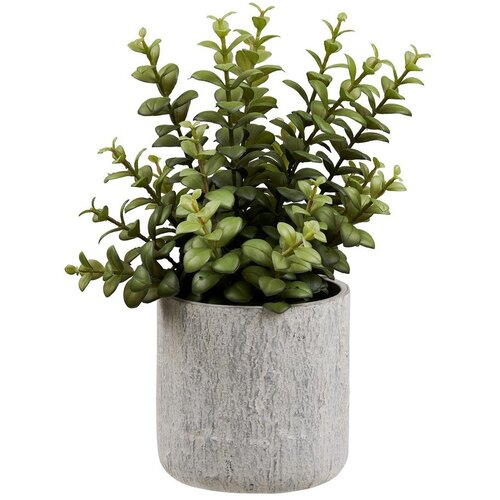 House Nordic Umjetna biljka (visina 33,5 cm) Succulent &amp;ndash; Slike