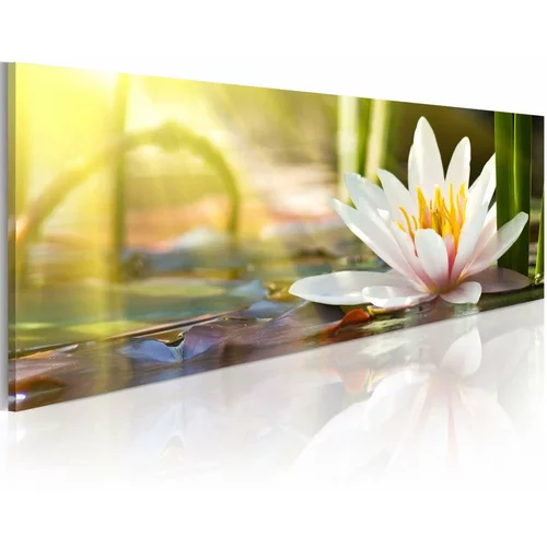  Slika - Lotus' Glow 150x50
