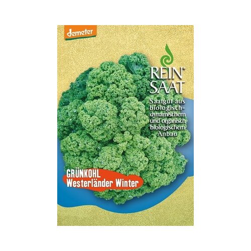 ReinSaat Ohrovt "Westlandse Winter" Cene