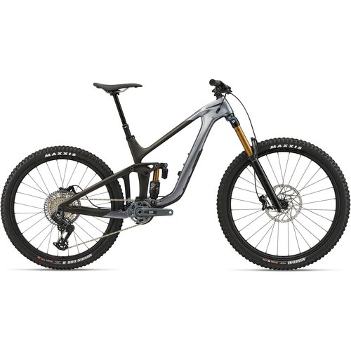 Bicikl GIANT Reign Advanced 1 Mercury/Raw Carbon - L Cijene