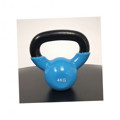Ring Kettlbel Metal+ Vinyl 4 kg RX DB2174-4 svetlo plava Cene